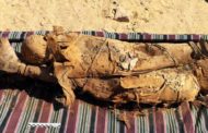 Egitto: ritrovata necropoli con 35 mummie ad Assuan (FOTO)