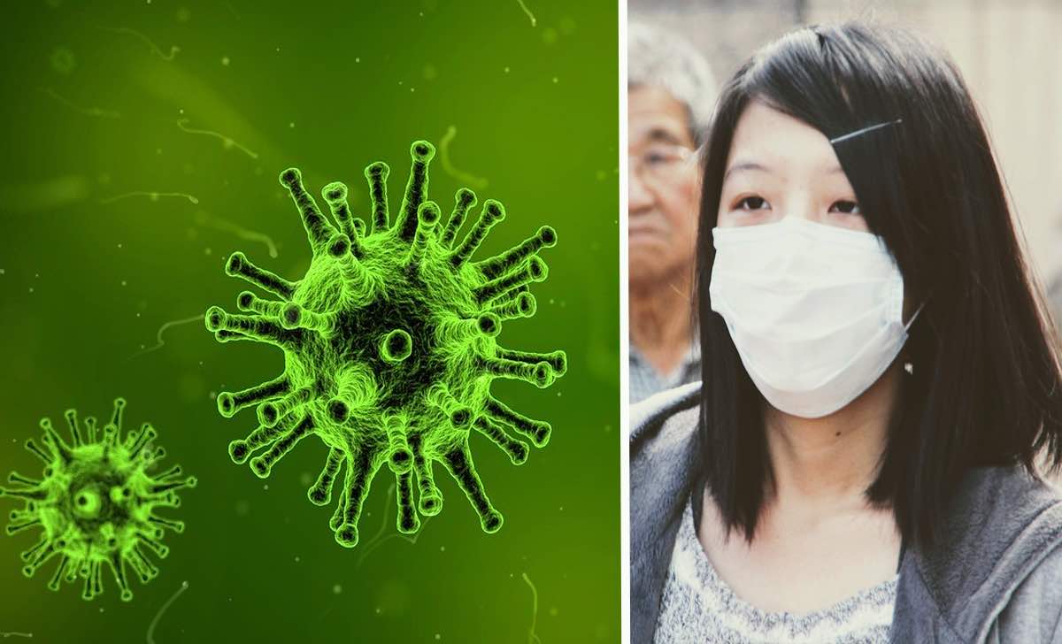 2019-n-CoV: il nuovo virus dalla Cina che sta terrorizzando il mondo intero (VIDEO)